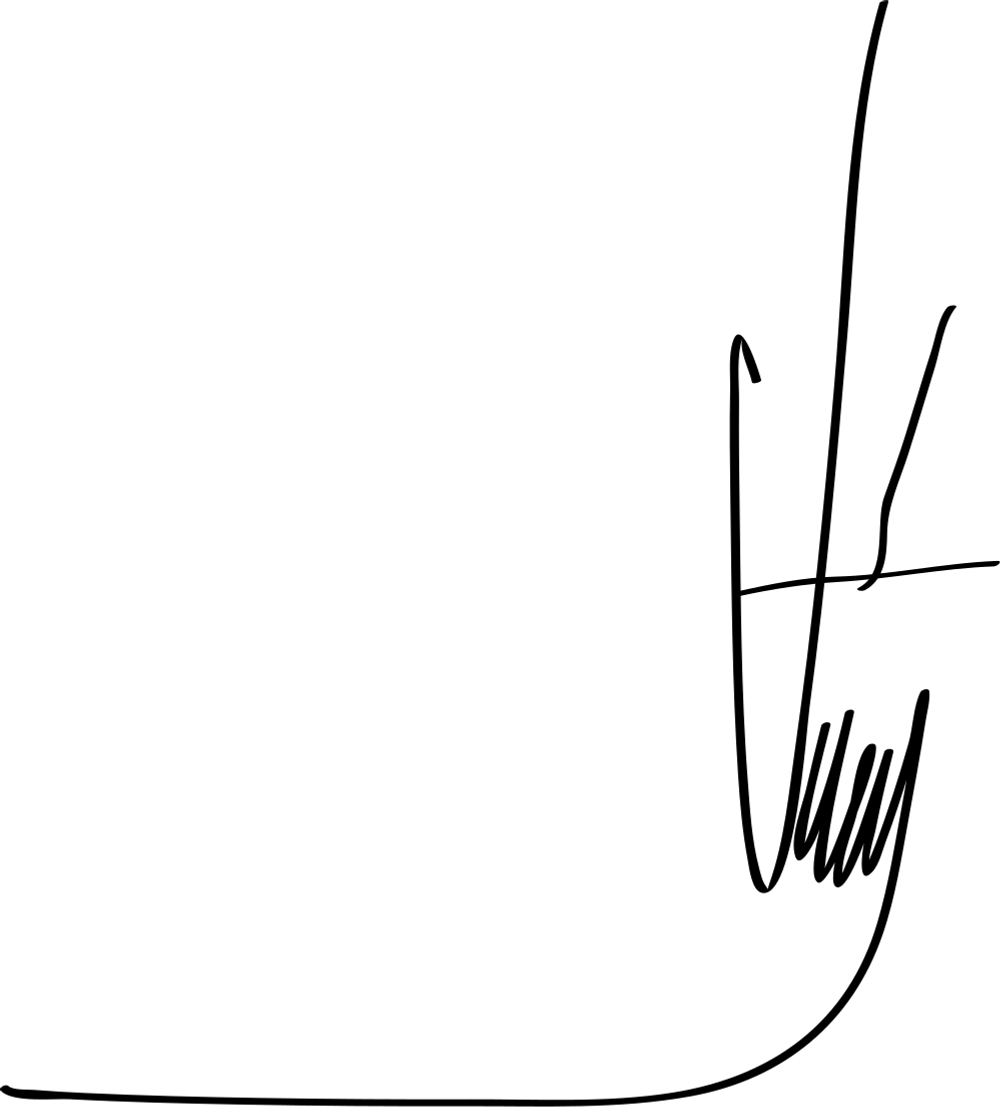 Hugo Chávez signature